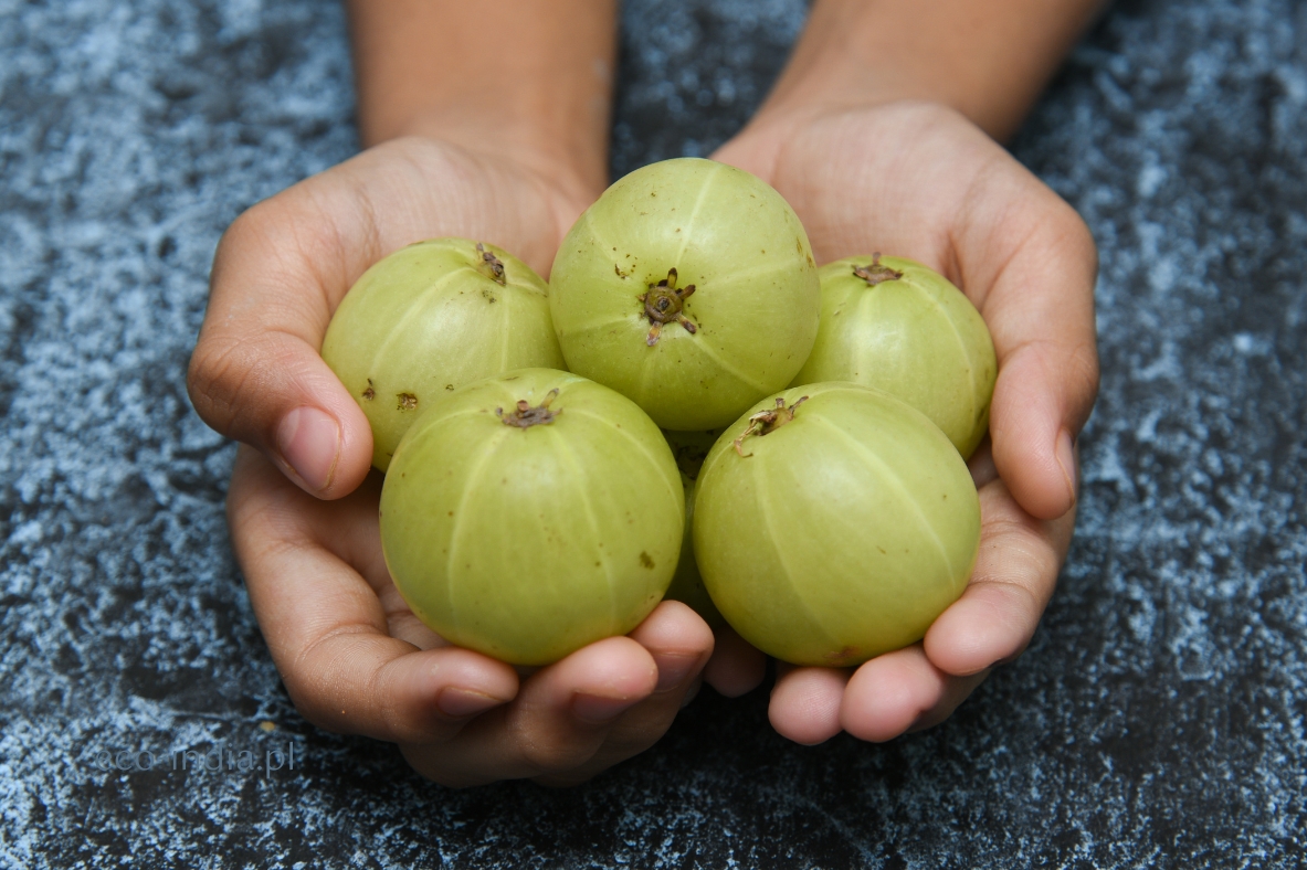 owoce amla - główny składnik chyawanprash