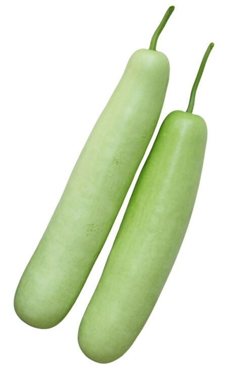 big_bottle-gourd %nazwa pliku%